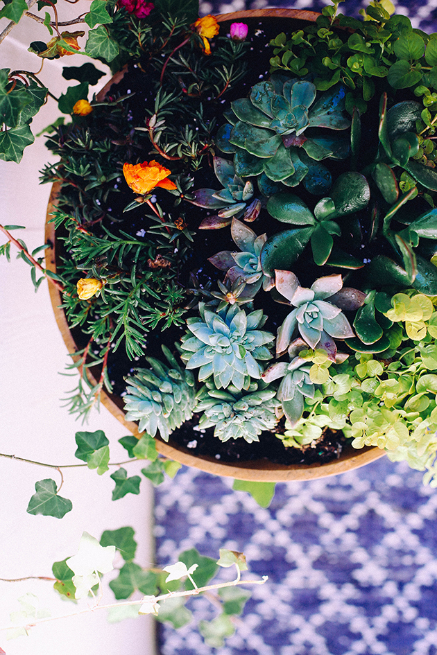 DIY Succulent Bowl
