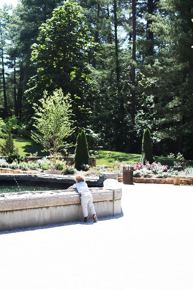 Botanical Gardens
