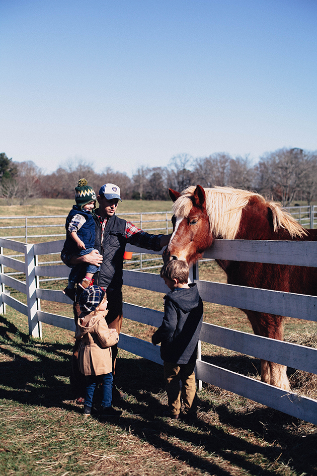 horse farm