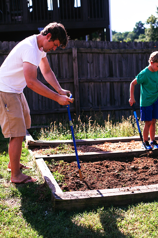 summer garden