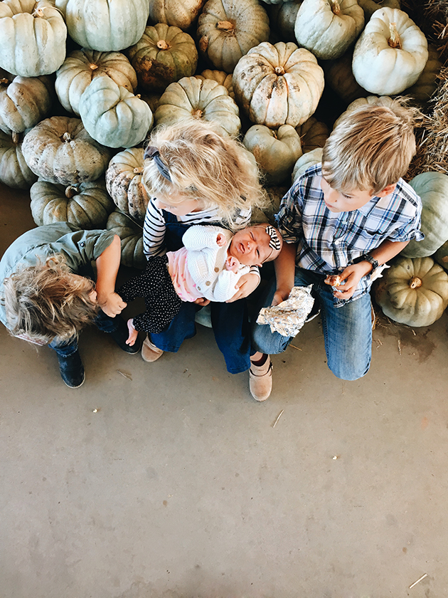 pumpkins