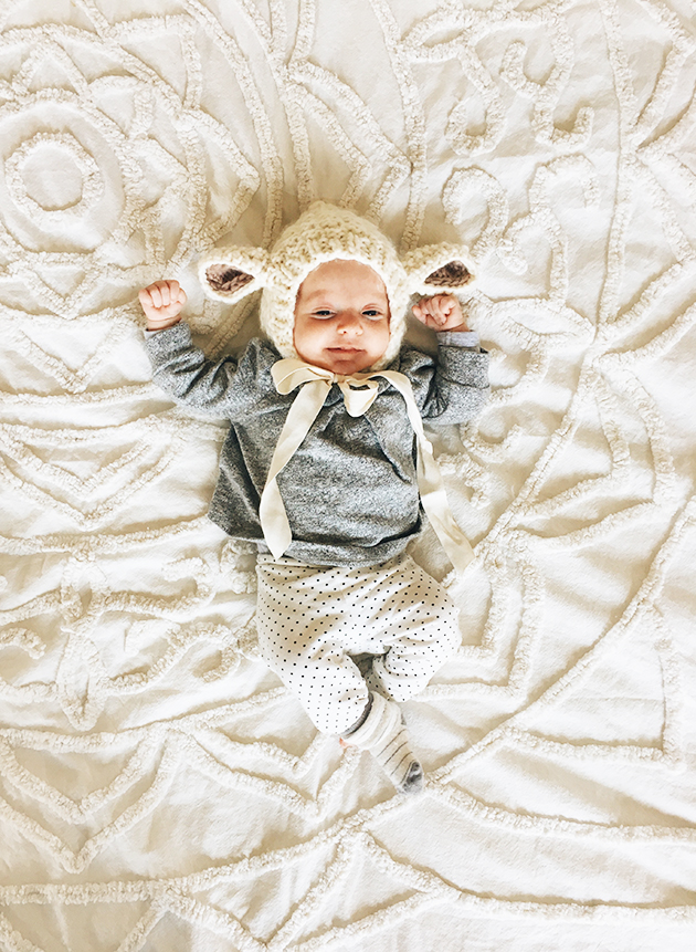 little lamb
