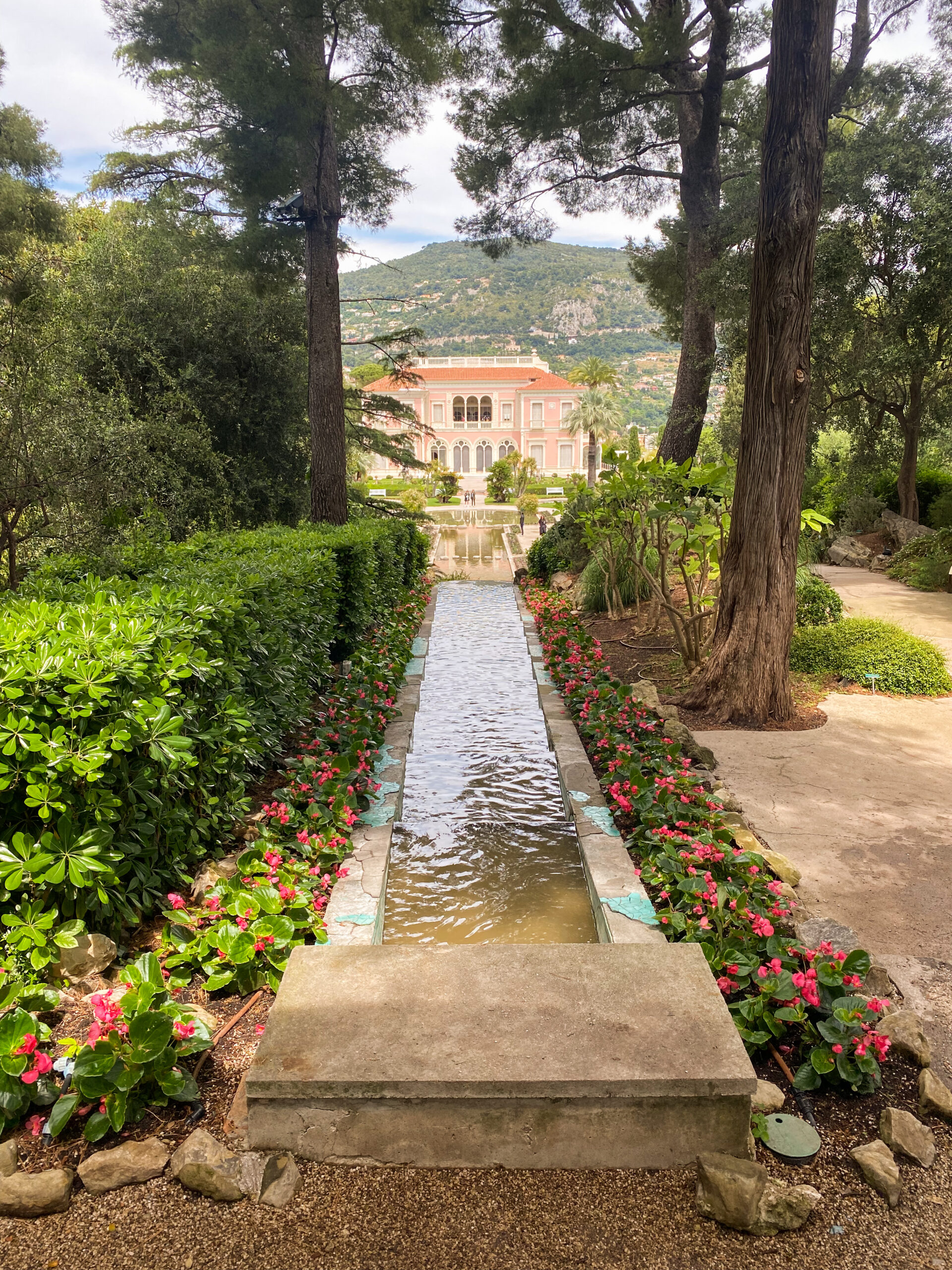 ephrussi de rothschild