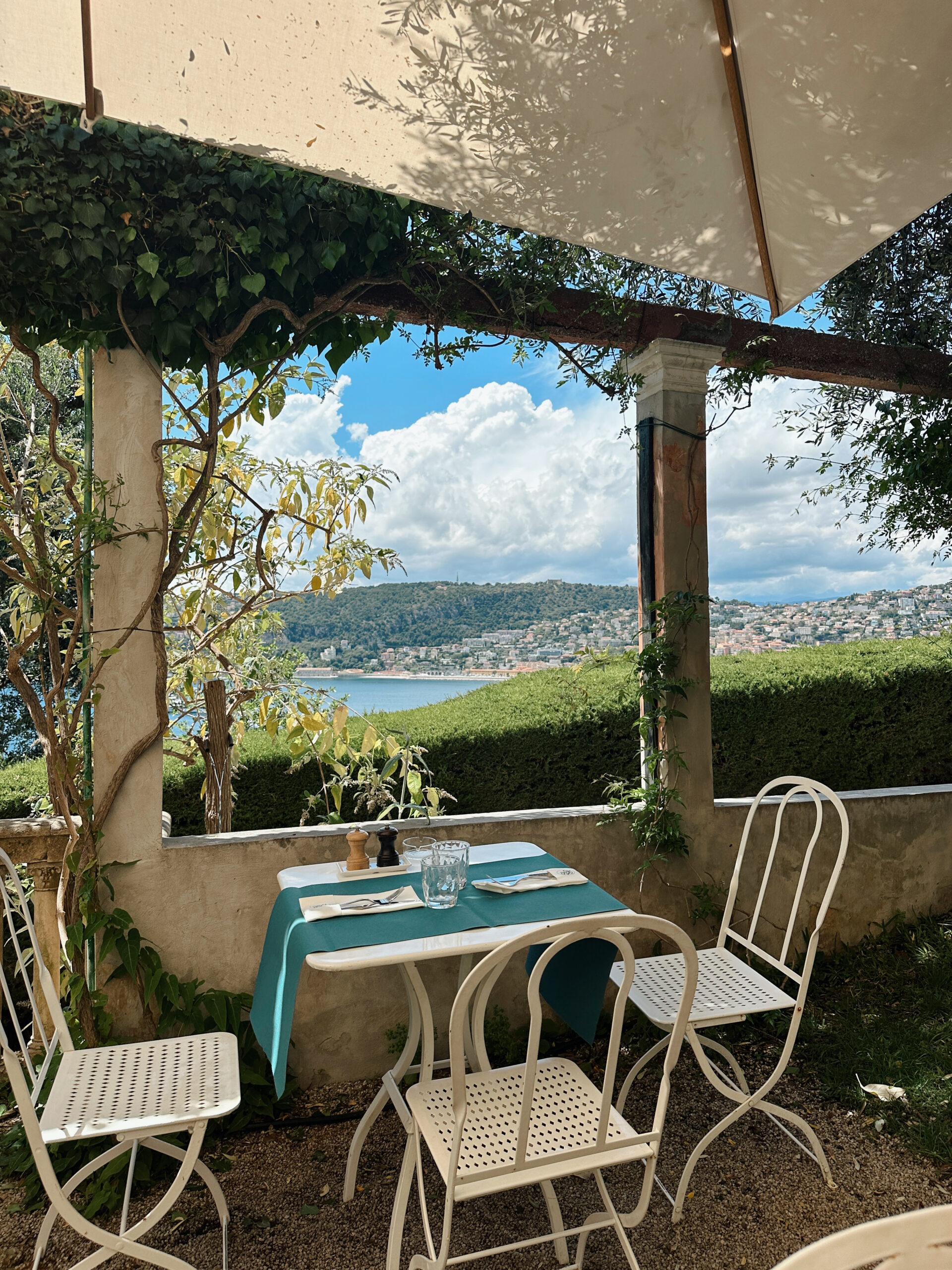ephrussi de rothschild